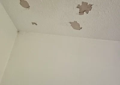 Professional Drywall Repair Services